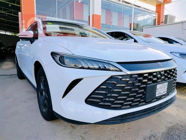 بي واي دي Qin Plus 2025 للبيع في العراق - النجف